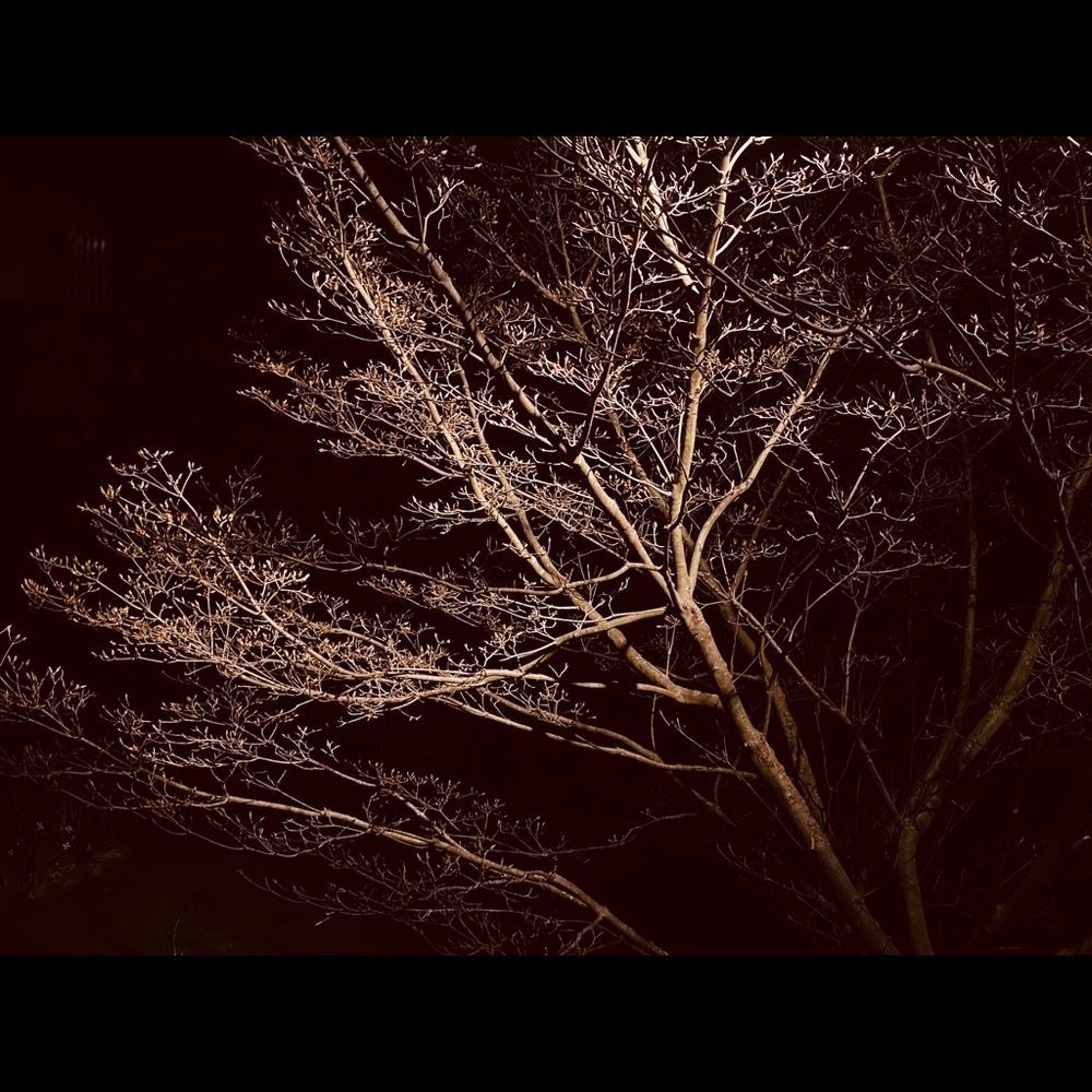 Night time photography prints
